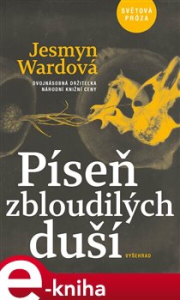 Píseň zbloudilých duší - Jesmyn Wardová e-kniha