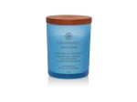 Vonná svíčka CHESAPEAKE BAY CANDLE Confidence &amp; Freedom 96g