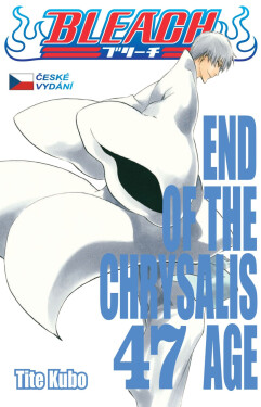 Bleach 47: End Of The Chrysalis Age - Noriaki Kubo