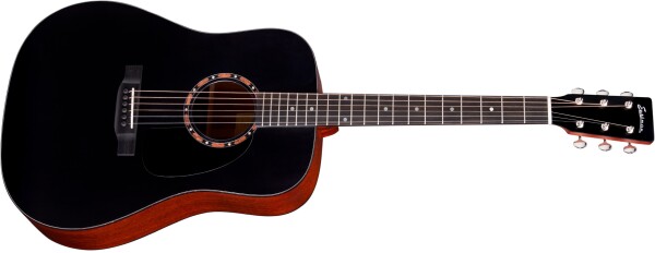 Eastman E2D-BK (rozbalené)