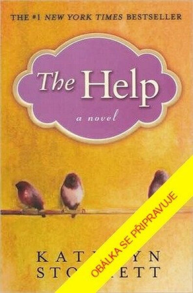 Černobílý svět - Kathryn Stockett