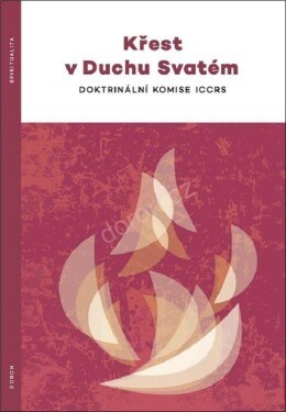 Křest Duchu Svatém Doktrinální komise ICCRS