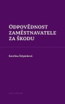 Odpovědnost zaměstnavatele za škodu - Kateřina Štěpánková