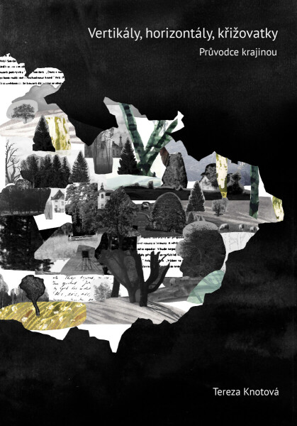 Vertikály, horizontály, křižovatky - Tereza Knotová