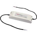 BIG WHITE (SLV) Můstkový LED driver 42 W, 500 mA pro NUMINOS®, včetně radiofrekvenčního rozhraní pro modul RF, DALI 1006459