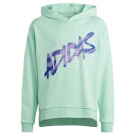 Adidas D Hoody Jr Mikina HR5825 176 cm