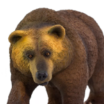 Safari Ltd. Safari Ltd. Figurka - Medvěd Grizzly
