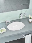 GROHE - Bau Ceramic Umyvadlo zápustné 56x42 cm, s přepadem, alpská bílá 39423000