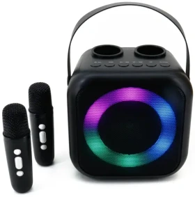 Soundmaster BT2024SW / Karaoke reproduktor / 5W / Bluetooth / Disco light / USB-C / 2x bezdrátový mikrofon (BT2024SW)