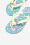 Pantofle Havaianas 41034050031 Materiál/-Velice kvalitní guma