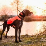 Obojek pro dalšího psa DOG GPS X25- zelená