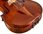 Eastman Andreas Eastman Violin 4/4 (VL405)