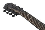 Ibanez AEG721 Black Out