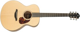 Furch Blue G-SW L.R. Baggs EAS-VTC CNR Active