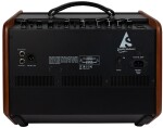 Godin Acoustic Solutions ASG-8 120 Wood