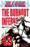 Bleach 45: The Burnout Inferno