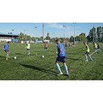 Sportovní sloupek Yakima s otvory 100701 NEPLATÍ
