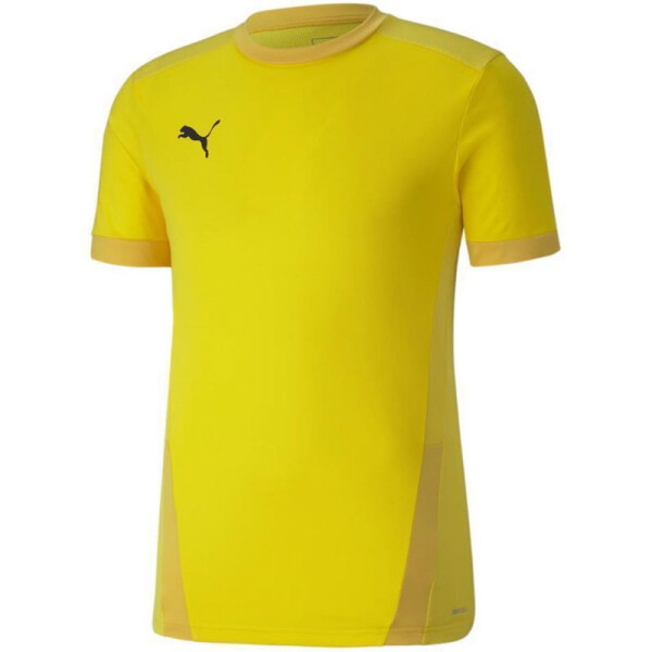 Puma teamGOAL 23 Jersey 704171 07