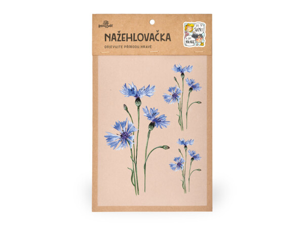 Nažehlovačka M 098 - Chrpa