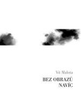 Bez obrazů navíc - Vít Malota