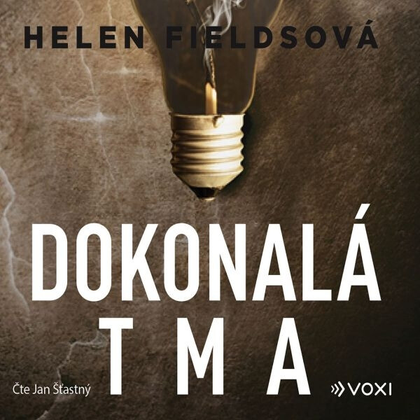Dokonalá tma - Helen Fields