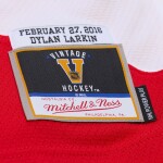 Mitchell & Ness Pánský dres Detroit Red Wings NHL Dylan Larkin #71 2016 Stadium Series Premium Power Play Velikost: L