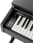 Gewa DP510 black
