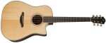 Furch Green Dc-SR Master's Choice CNR Active