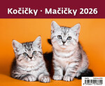 Stolní kalendář 2026 Helma MiniMax - Kočičky