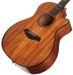 Taylor 924ce-K 50th Anniversary + Circa 74 amp Limited Edition