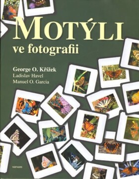 Motýli ve fotografii Křížek,