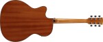 Ibanez PC34MHCE NT
