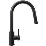 REA - Kuchyňská baterie Fresh Touch Black Matt REA-B6734