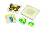 Moyo Montessori Moyo Montessori Životní cyklus motýla