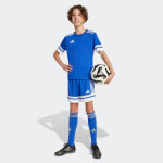 Tričko adidas Squadra 25 Jr JJ0054 128 cm