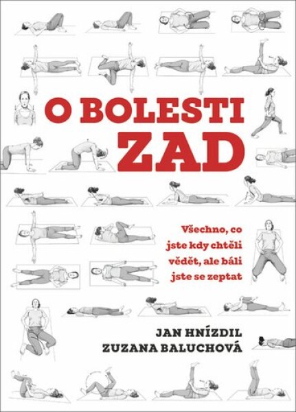 Bolesti zad