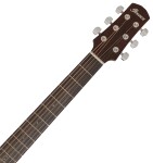 Ibanez AAD50CE-LG - Natural Low Gloss