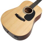 Sigma Guitars DT-STE