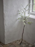 Bloomingville Umělá květina Apple Branch 152 cm, přírodní barva, plast