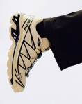 Salomon XT-6 Gore-Tex Safari/Safari/Black 44