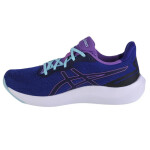 Asics Gel-Pulse 14 1012B318-407