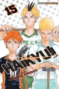 Haikyu!! 15 - Haruichi Furudate