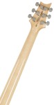 PRS SE Custom 24 Turquiose