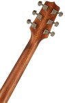 Takamine GD20-NS