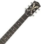 Godin LE 5th Avenue TL P90 Vintage Burst