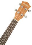 Cascha HH 2151 Concert Mahogany Ukulele Set