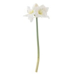 Bloomingville Umělá květina Amaryllis White 74 cm, bílá barva, plast