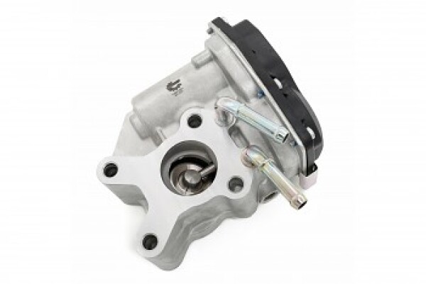 SKV EGR ventil NISSAN Navara, Pathfinder III, Cabstar, NT400, NV350 2.5 dCi