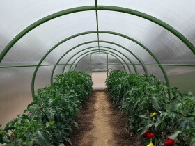 Obloukový polykarbonátový skleník Dodo 300 3×4 m PC 8 mm zelený