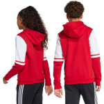 Adidas Squadra 25 Sweat Hoody Jr JD4805 Mikina 128 cm